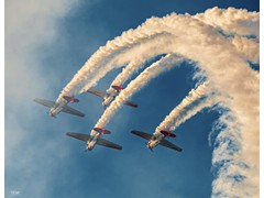 243390164_4658483194209075_5489862831387391887_n (1)